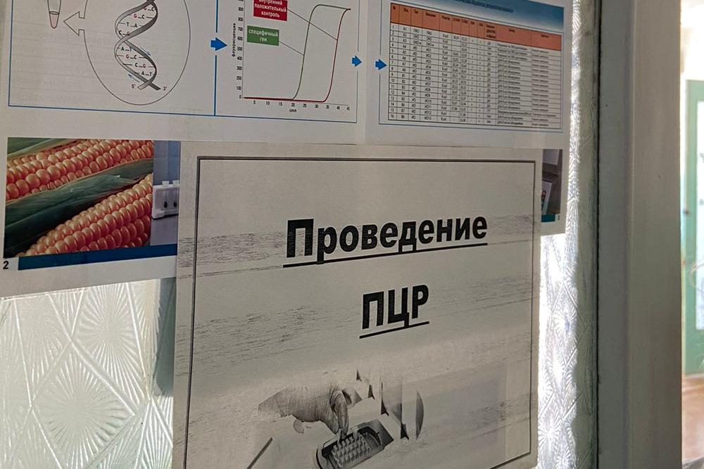 Сотрудники ТГУ пошли стажировку в СФНЦА РАН